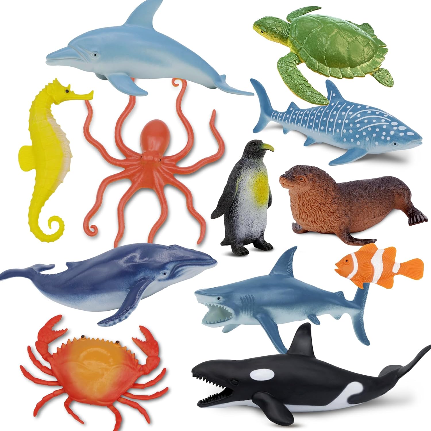 Ocean Animals